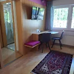 Etschbacher * Haus im Ennstal