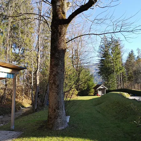 Etschbacher Apartment